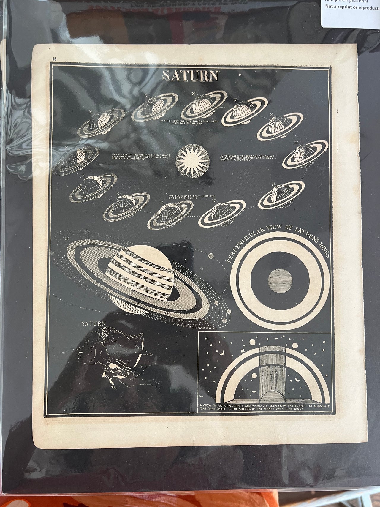 Three Smiths Illustrated Astronomy prints
